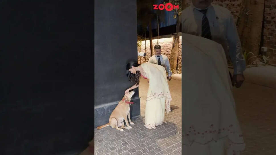 कैसे एक समूह ने मिलकर बनाया यादगार फोटोशूट का अनुभव?