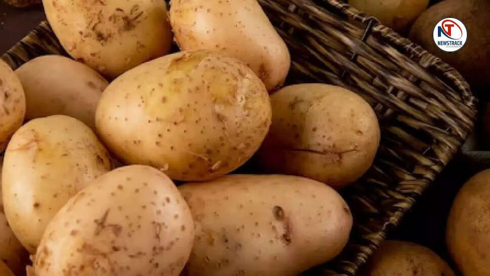 आलू: एक ऐसा खाद्य पदार्थ जिसने बदल दी मानव सभ्यता की दिशा