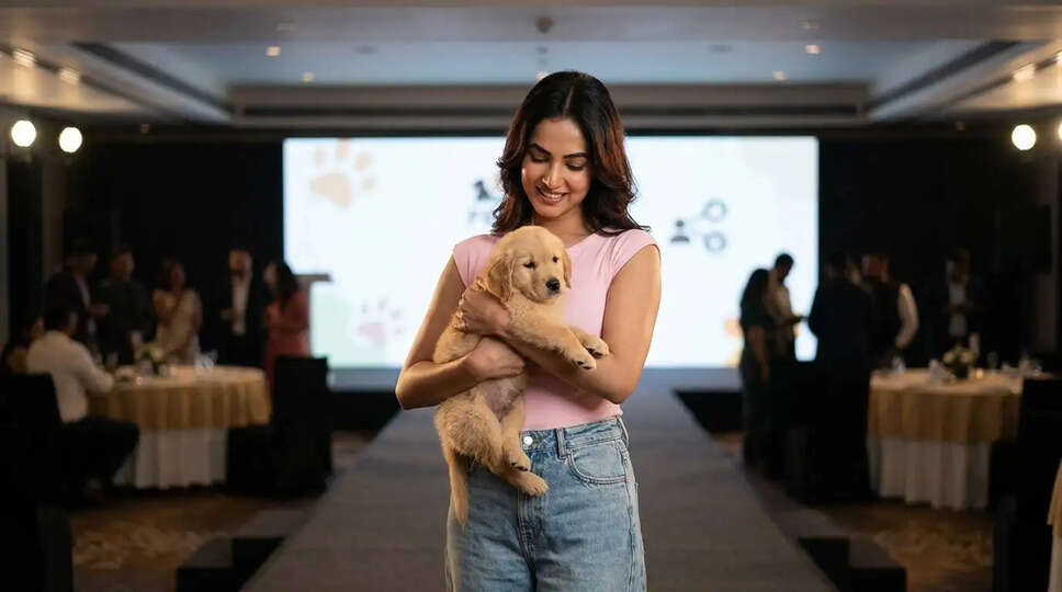 क्या है Pet Family ऐप? जानें कैसे यह बना पालतू प्रेमियों का नया घर!