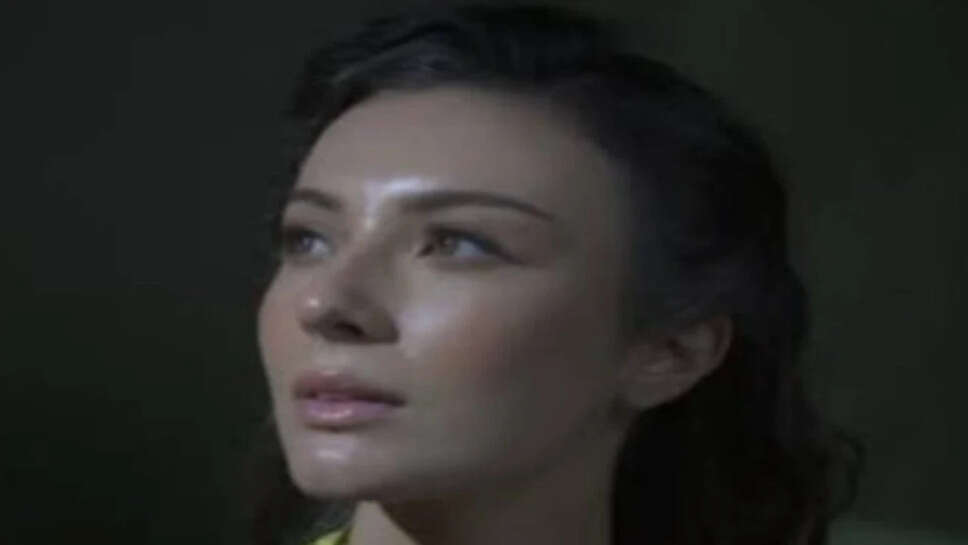 यश की फिल्म Toxic में विवाद: बीट्रिज तौफेनबैक की पहचान पर उठे सवाल