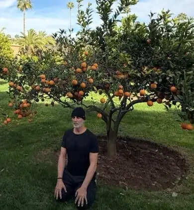 अक्षय कुमार ने राधिका मदान को बताया अपना पसंदीदा सह-कलाकार, जानें क्यों!