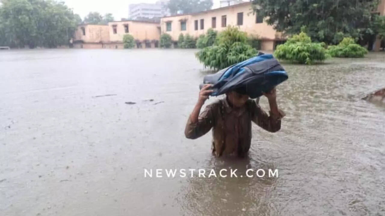 क्या आप जानते हैं विश्व फोटोग्राफी दिवस का इतिहास और महत्व?