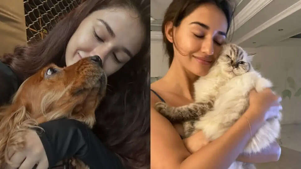 Disha Patani ने अपने प्रिय पालतू जानवरों की मौत पर किया भावुक पोस्ट, जानें क्या कहा!