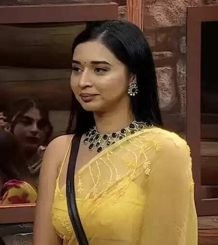 बिग बॉस 19: तान्या मित्तल का सफर, 'फेक गर्ल' से फाइनलिस्ट तक का रोमांचक सफर!