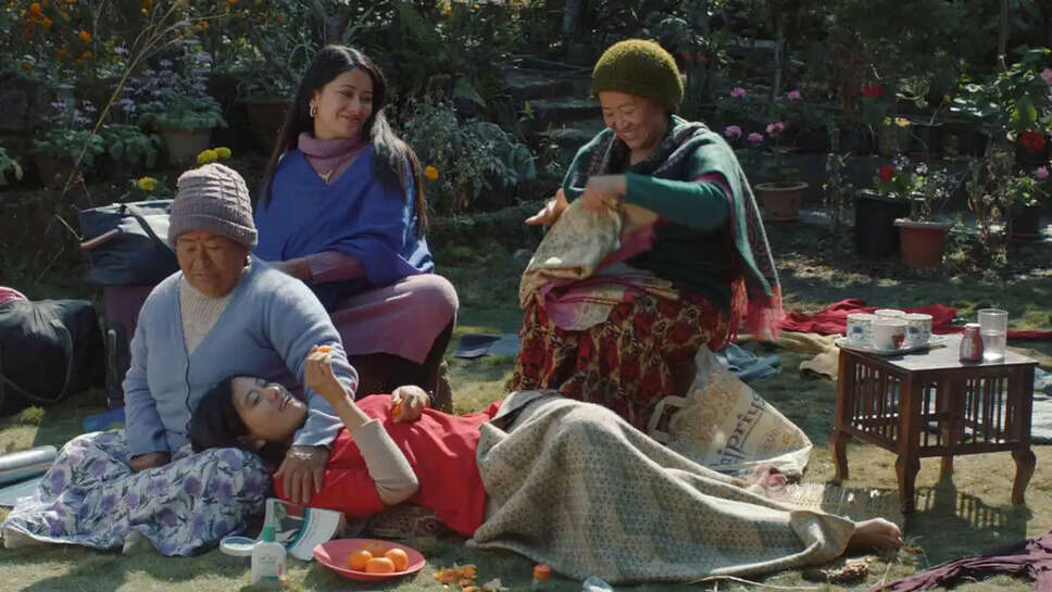 क्या है 'Shape of Momo' की कहानी? जानें इस फिल्म की अनोखी यात्रा और पुरस्कार जीतने की वजह!