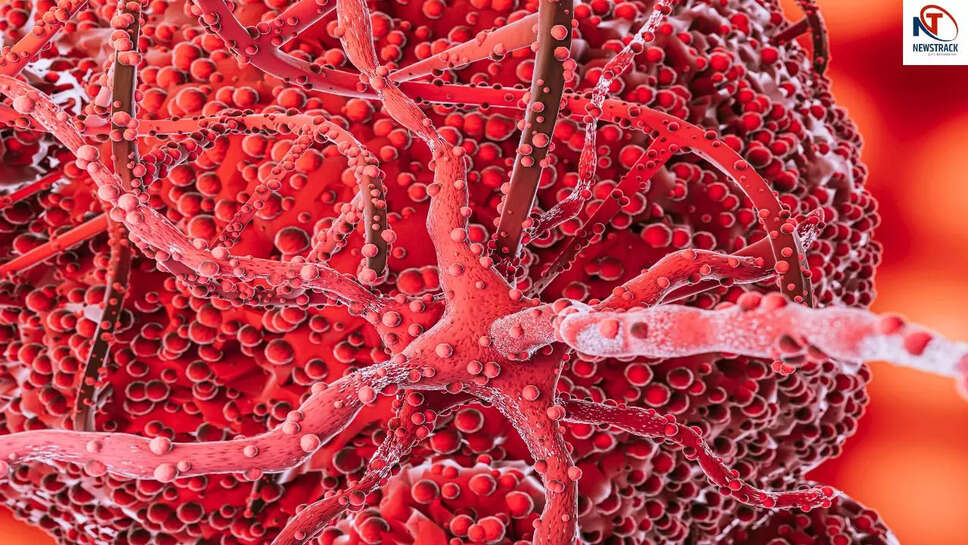 क्या आप जानते हैं कैंसर से लड़ने वाले ये 7 सुपरफूड्स?