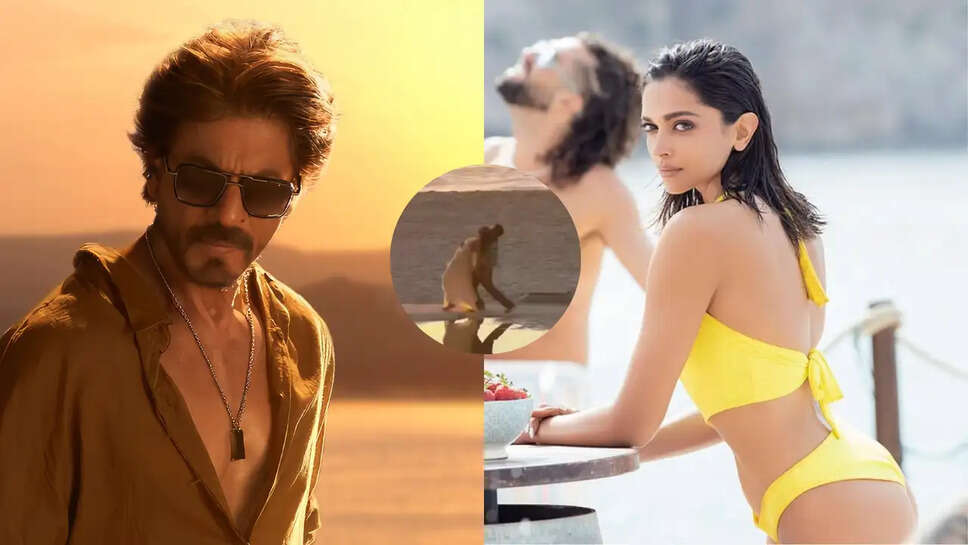 क्या Shah Rukh Khan और Deepika Padukone की जोड़ी फिर से जादू बिखेरने को तैयार है? जानें 'King' के बारे में!