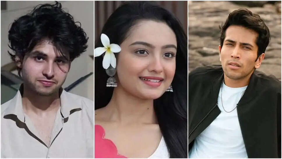 टीवी अभिनेत्री संचिता उगाले का निधन: क्या है इसके पीछे की कहानी?