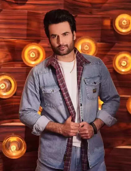 क्या विवियन डीसेना ने छोड़ा 'लाफ्टर शेफ्स'? जानें उनके नए प्रोजेक्ट के बारे में!