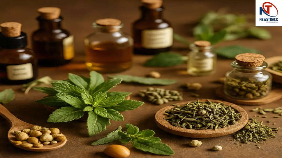 आयुर्वेदिक दवाओं के सेवन में सावधानी: जानें साइड इफेक्ट्स और सही मात्रा