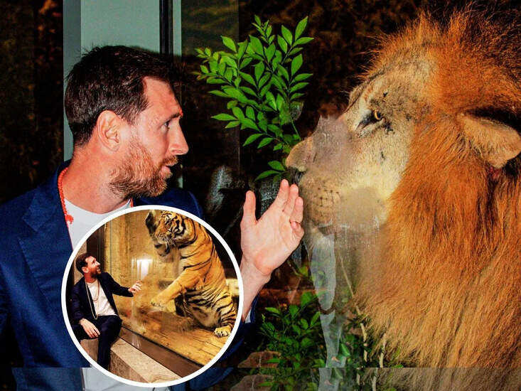 लियोनेल मेसी का भारत दौरा: वंतारा में हाथी के साथ फुटबॉल खेलने का अनोखा अनुभव!