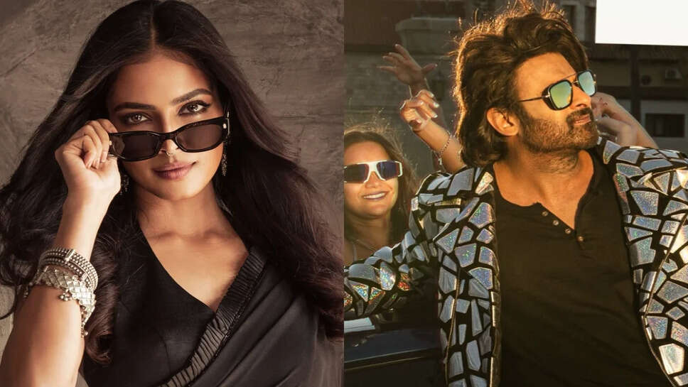 प्रभास की फिल्म 'द राजा साब' का प्रमोशन कर रही हैं मलविका मोहनन