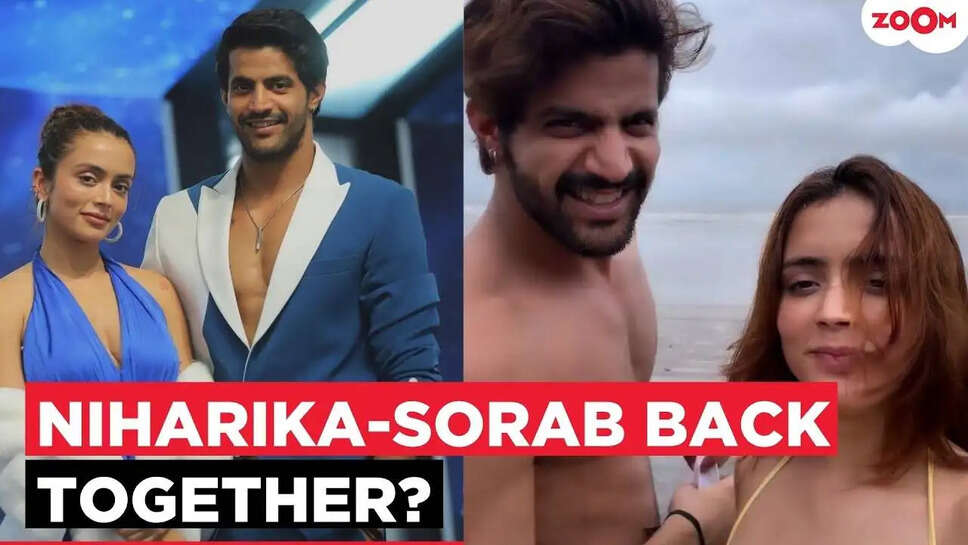 क्या Niharika और Sourabh का रिश्ता फिर से मजबूत हो रहा है? जानिए क्या है सच!