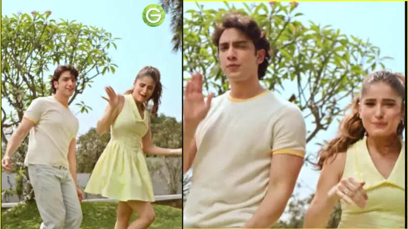 क्या रवीना टंडन की बेटी और आलिया भट्ट के दोस्त का डांस वीडियो बना देगा उन्हें सुपरस्टार?