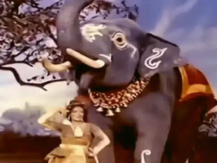 क्या आप जानते हैं 'अरे जा रे हट नटखट' गाने की शूटिंग में क्या हुआ था? जानें संध्या शांताराम की कहानी!