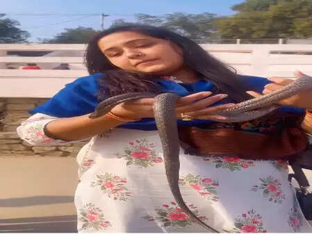 काजल राघवानी ने मकर संक्रांति पर कोबरा के साथ किया अद्भुत खेल, जानें क्या है खास!