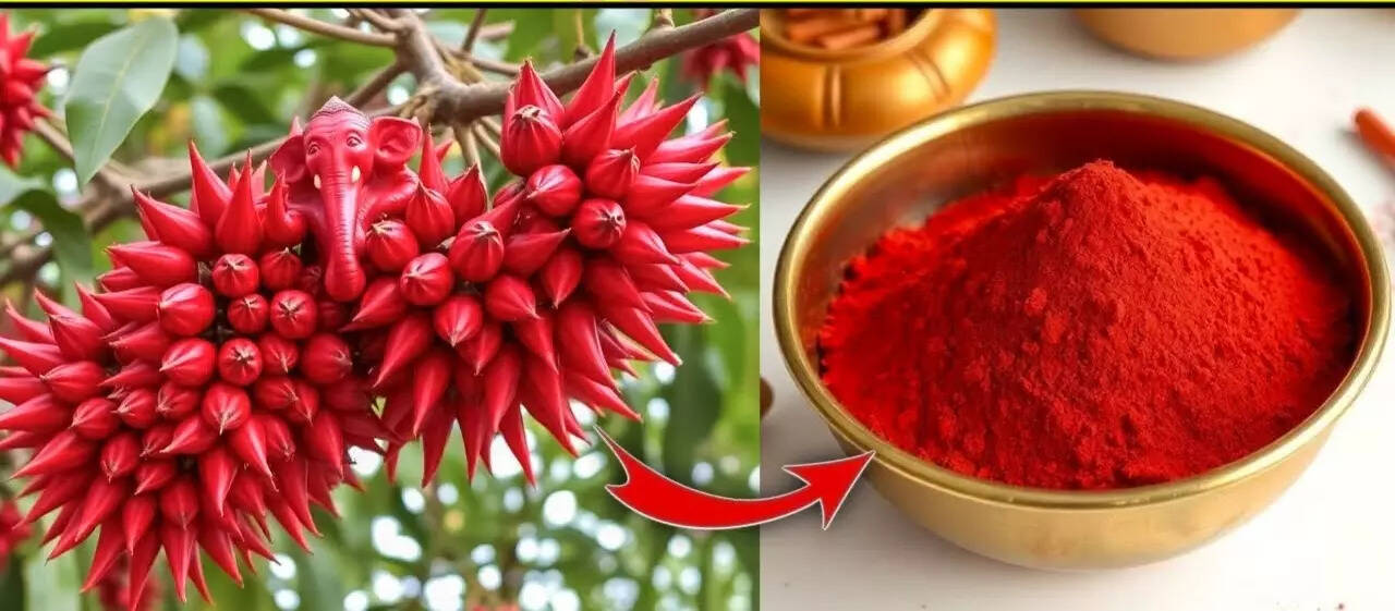 सिंदूर: भारतीय संस्कृति का एक अनमोल प्रतीक और इसका महत्व