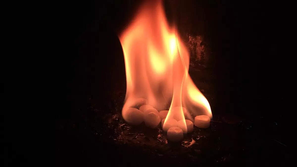 बारिश में कीटों से छुटकारा पाने के आसान घरेलू उपाय