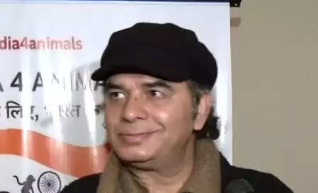 क्या सुप्रीम कोर्ट का आदेश लावारिस कुत्तों के लिए सही समाधान है? मोहित चौहान ने दी अपनी राय