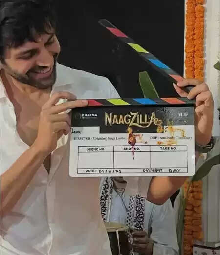 कार्तिक आर्यन और धर्मा प्रोडक्शन की नई फिल्म 'नाजिला' का ऐलान, जानें क्या है खास!