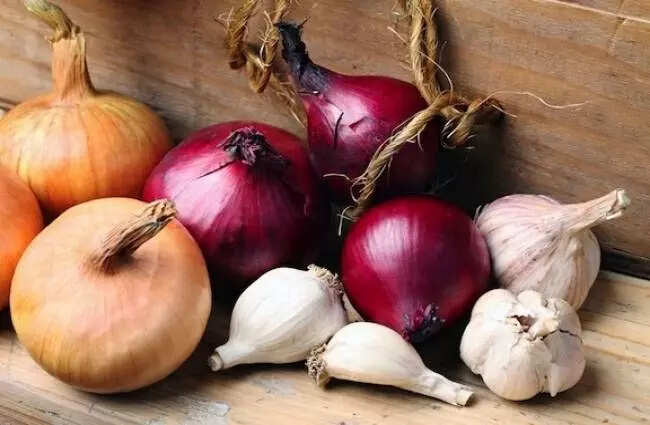 बारिश में कीटों से छुटकारा पाने के आसान घरेलू उपाय