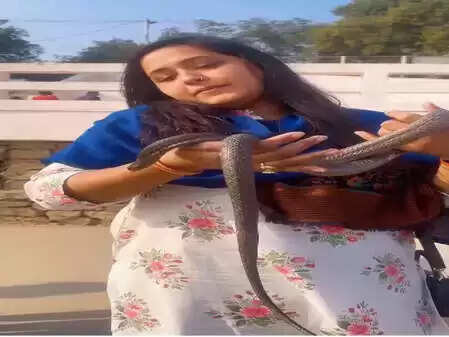 काजल राघवानी का मकर संक्रांति पर अनोखा अनुभव: कोबरा के साथ खेलते हुए वीडियो वायरल!