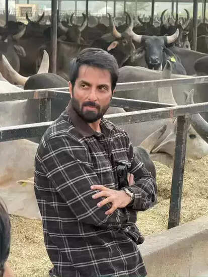 सोनू सूद ने 7,000 गायों के लिए गोशाला को दी 22 लाख की मदद, जानें कैसे कर रहे हैं सेवा!