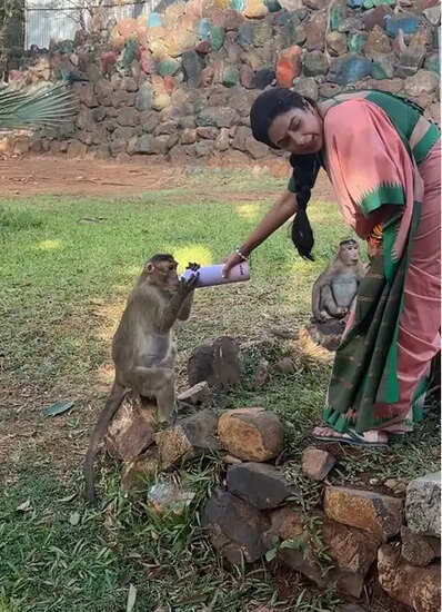 रुपाली गांगुली ने बेजुबान जानवरों के लिए दिखाई दया, जानें उनकी खास पहल के बारे में!