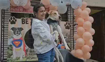 जया भट्टाचार्य ने जानवरों के अधिकारों के लिए उठाई आवाज, जानिए उनकी कहानी