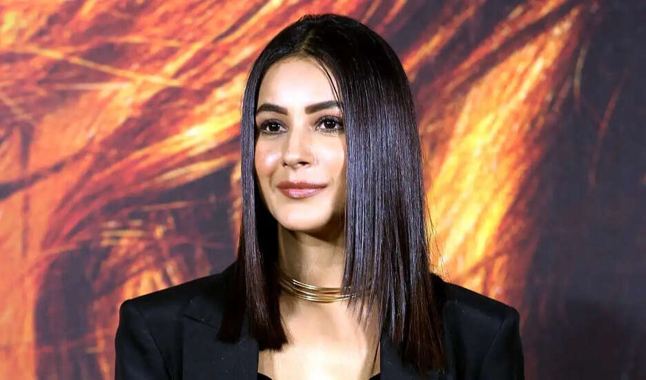 शहनाज़ गिल की IPL में रोमांचक उपस्थिति, क्या देवदत्त पडिक्कल के साथ हैं डेटिंग में?