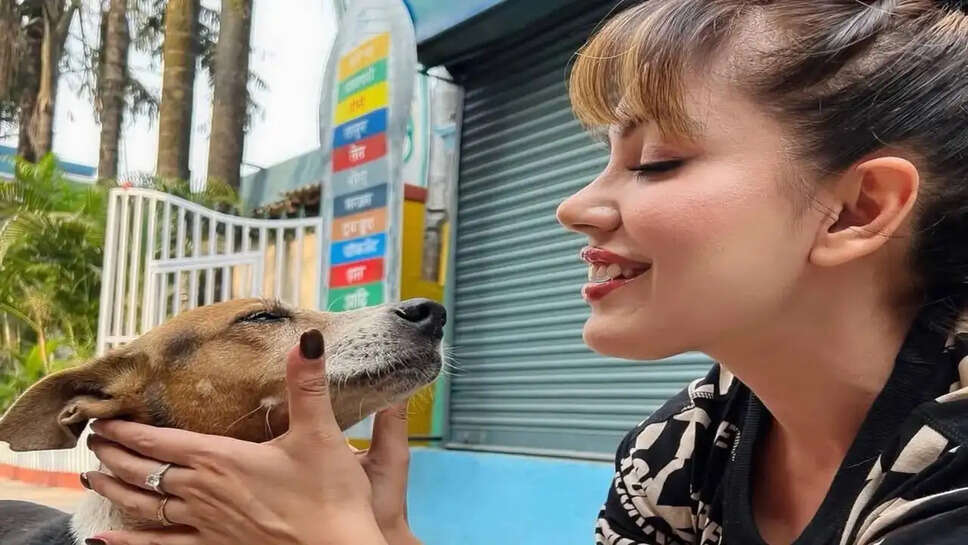क्या है Munmun Dutta के दिल को तोड़ने वाली कहानी? जानें उनकी प्यारी कुतिया के बारे में
