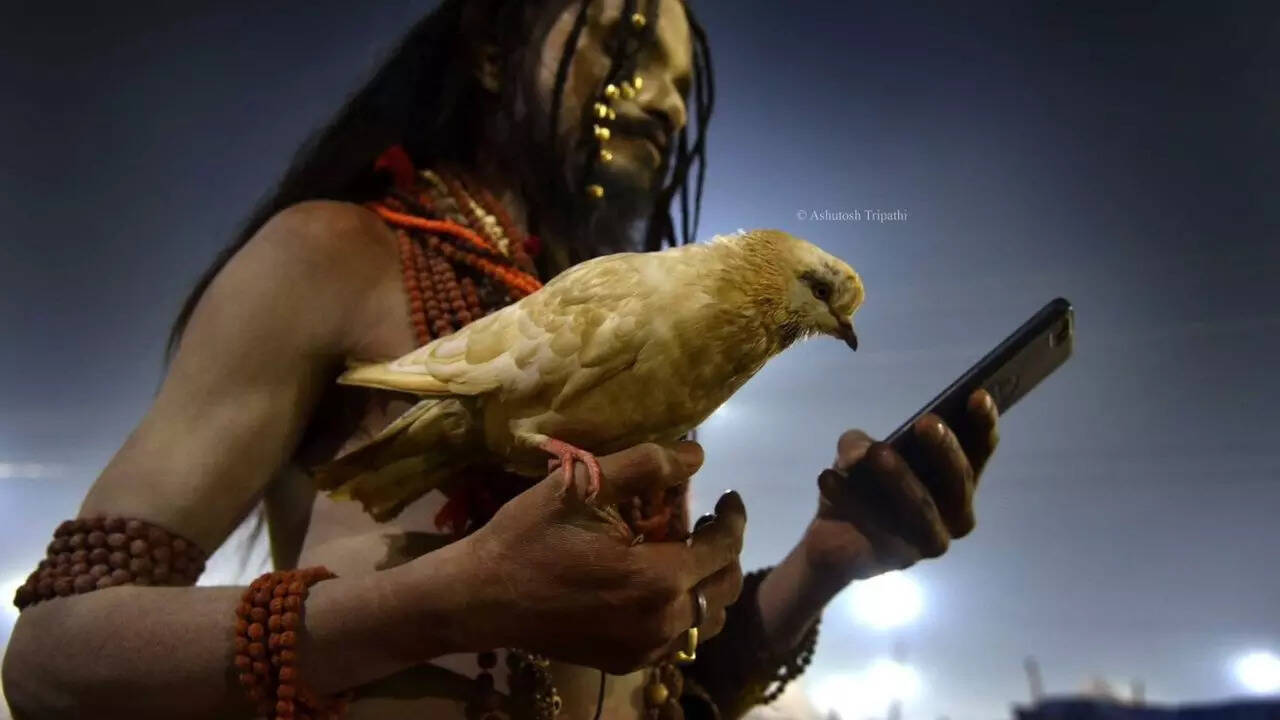 क्या आप जानते हैं विश्व फोटोग्राफी दिवस का इतिहास और महत्व?