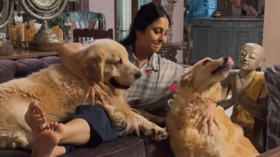 क्या सच में कुत्ते पालने से खत्म होगा शादी का दबाव? एक्ट्रेस की विवादास्पद टिप्पणी पर चर्चा