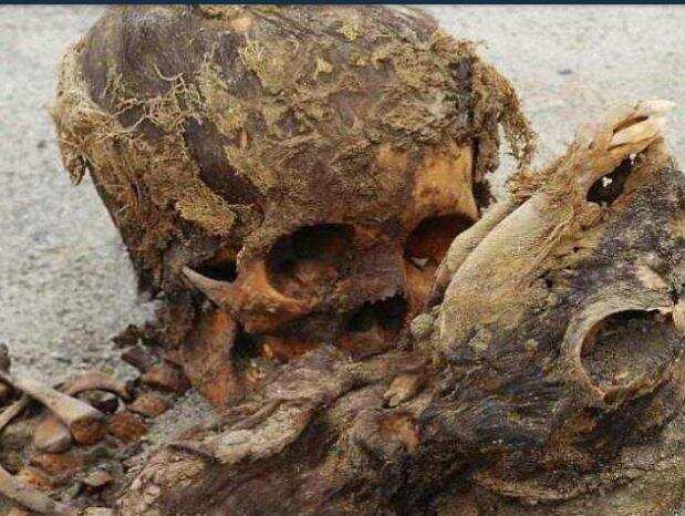 खुदाई में हुआ 550 सालों पहले दंफ्न राज का पर्दाफाश,सचाई जानकर रूंह कांप जाएगीं जानिए क्या था