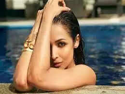  बॉलीवुड एक्ट्रेस मलाइका अरोड़ा अपने ग्लैमरस लुक्स की वजह से फैन्स के बीच छाई रहती हैं. मलाइका अरोड़ा की एक झलक पाने के लिए फैंस का तांता लगा हुआ है। दरअसल, मलाइका अरोड़ा ने सोशल मीडिया पर अपने एक फोटोशूट का वीडियो शेयर किया है जो तेजी से वायरल हो रहा है.