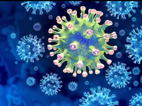 अभी दुनिया कोरोना महामारी से उबरी भी नहीं थी कि एक और वायरस ने दुनिया में दस्तक दे दी है। विश्व स्वास्थ्य संगठन ने भी इसकी पुष्टि की है और बताया है कि यह कितना खतरनाक है। आपको जानकर हैरानी होगी कि 88 प्रतिशत मौतों की पुष्टि इस वायरस के संपर्क में आने के बाद हुई है। इसके अलावा, यह इतना संक्रामक है कि मरीज को क्वारंटाइन करना बहुत जरूरी हो जाता है।  पूरी दुनिया कोरोना वायरस के कहर को झेल चुकी है। अब एक और भी खतरनाक और संक्रामक वायरस पूरी दुनिया को डरा रहा है। इस वायरस ने विश्व स्वास्थ्य संगठन के ही होश उड़ा दिए हैं. डब्ल्यूएचओ ने इसे लेकर चेतावनी जारी की है क्योंकि इस वायरस (मारबर्ग वायरस) ने 9 लोगों की जान ले ली है। अफ्रीका में यह वायरस फिलहाल गिनी में पाया जाता है, जो तेजी से लोगों को प्रभावित कर रहा है।  चमगादड़ जनित मारबर्ग विषाणु इस वायरस का नाम मारबर्ग है और इसके लक्षण इबोला वायरस से मिलते जुलते हैं। इससे पहले, इबोला वायरस अफ्रीका में चमगादड़ों से उत्पन्न हुआ था, और एक बार फिर मारबर्ग वायरस चमगादड़ों से उत्पन्न हुआ। यह इतना संक्रामक है कि पीड़ित के साथ निकट संपर्क से वायरस फैलता है। इसके लक्षणों में दस्त, तेज बुखार, खून की उल्टी, सिरदर्द शामिल हैं। इसका सबसे खतरनाक लक्षण मल, नाक और मसूड़ों से खून आना है। यह ब्लीडिंग मरीज को मौत के मुहाने पर ला खड़ा करती है।  अभी तक कोई दवा नहीं है विश्व स्वास्थ्य संगठन ने कहा है कि यह वायरस फ्रूट बैट से फैलता है और एक व्यक्ति से दूसरे व्यक्ति में तेजी से फैलता है। यह न केवल शरीर के तरल पदार्थ के माध्यम से बल्कि उपयोग की गई सतहों और वस्तुओं के माध्यम से भी फैलता है। अभी तक इस वायरस का कोई इलाज या टीका नहीं खोजा जा सका है। ऐसे में अगर यह अफ्रीका को छोड़कर दूसरे देशों में पहुंचता है तो इसके परिणाम कोरोना की तरह भयंकर हो सकते हैं। डब्ल्यूएचओ की आशंका इसलिए भी जायज है क्योंकि इबोला वायरस का घातक रूप अफ्रीकी और यूरोपीय देशों में पहले ही देखा जा चुका है।