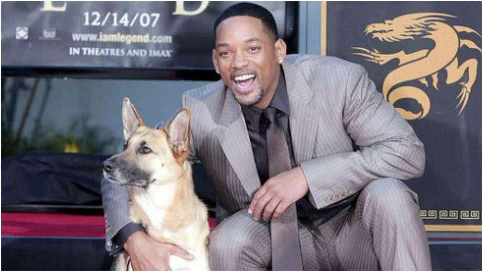 Will Smith: 'आई एम लीजेंड' के साथी एबी को गोद लेना चाहते थे विल स्मिथ, इस कारण कुत्ते को नहीं ले जा सके थे घर