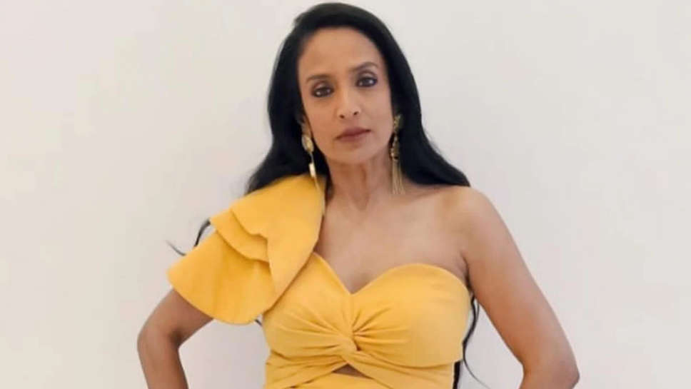 Suchitra Pillai: जब सुचित्रा के पास साउथ से आया फोन और शख्स ने कहा- प्रोड्यूसर नया है, कॉम्प्रोमाइज करना होगा