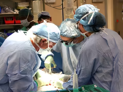 आपने फिल्म 'विक्की डोनर' तो देखी ही होगी, जिसमें एक आदमी स्पर्म डोनेट करता है और बदले में उसे पैसे मिलते हैं। ऐसा करते-करते एक दिन वह बहुत धनवान हो जाता है। दुनिया में बहुत से लोग यह काम कर रहे हैं। वे सोचते हैं कि घर में खुशियां लाना वीर्य को बर्बाद करने से बेहतर है। लेकिन ऑस्ट्रेलिया में एक सनसनीखेज मामला सामने आया है। जब पता चला कि 60 बच्चों का एक ही पिता है। जब वे पार्टी में मिले तो एक-दो नहीं बल्कि सभी बच्चे एक जैसे दिख रहे थे। यह देख दंपती के पैरों तले से जमीन खिसक गई। आखिर यह कैसे हुआ? जानिए इस रिपोर्ट में...  वास्तव में, एक स्पर्म डोनर ने LGBTQ+ समुदाय के कई सदस्यों को स्पर्म डोनेट किया है। आमतौर पर यह संभव नहीं होता है और नियम के अनुसार एक समय में केवल एक ही दाता के शुक्राणु का उपयोग किया जाना चाहिए। लेकिन उन्होंने चार अलग-अलग नाम देते हुए कई माता-पिता के स्पर्म डोनेट किए। जब तक बच्चे पैदा नहीं हुए तब तक सब ठीक था, लेकिन माता-पिता उस समय दंग रह गए जब वे सभी एक गेट टूगेदर पार्टी में मिले। ये परिवार दूर के रिश्तेदार नहीं थे, फिर भी 60 बच्चों की शक्ल एक जैसी पाई गई। बाद में जब उन्हें इसका कारण पता चला तो वे हैरान रह गए।  आईवीएफ तकनीक से माता-पिता का निर्माण किया गया आपको बता दें कि LGBTQ+ समुदाय के 60 जोड़े आईवीएफ तकनीक के जरिए माता-पिता बने हैं। उनके 60 से ज्यादा बच्चे इसी तकनीक से पैदा हुए। लेकिन जब सच्चाई सामने आई तो सभी माता-पिता अस्पताल पहुंचे। यहां कहानी अलग है। एक ही स्पर्म डोनर ने अलग-अलग अस्पतालों में स्पर्म डोनेट किया था। कानून की पकड़ से बचने के लिए उसने हर जगह अपना नाम बदल लिया।   फेसबुक पर भी विज्ञापन माता-पिता ने पूरे ऑस्ट्रेलिया में आईवीएफ क्लीनिक से उस व्यक्ति के बारे में पूछताछ की। सिडनी स्थित डॉ। फर्टिलिटी फर्स्ट। एनी क्लार्क ने कहा कि इस आदमी ने हमारे क्लिनिक में सिर्फ एक बार स्पर्म डोनेट किया था लेकिन फेसबुक के जरिए विज्ञापन देकर वह दावा कर रहा था कि उसने कई लोगों को स्पर्म डोनेट किया है. यानी कुछ क्लीनिकों ने डोनर को धोखा दिया। वह फेसबुक और सोशल मीडिया के दो प्लेटफॉर्म के जरिए विज्ञापन देकर लोगों को लुभाता था। शुक्राणु दान धोखाधड़ी ऑस्ट्रेलिया में अवैध है। ऐसे मामलों में आरोपी के दोषी पाए जाने पर 15 साल तक की सजा का प्रावधान है।