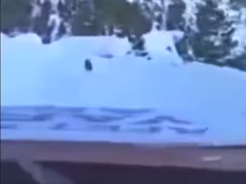 सोशल मीडिया जानवरों के रोमांच के वीडियो से भरा पड़ा है। आपने कई ऐसे वीडियो देखे होंगे जिनमें भालू, हाथी या बंदर अनोखे करतब करते, लोगों की मिमिक्री करते और अक्सर मदद करते नजर आते हैं। लेकिन इन दिनों ट्विटर पर एक साहसी छोटे कुत्ते का वीडियो वायरल हो रहा है. देखने में आ रहा है कि तुर्की में जब एक रेस्क्यू टीम भारी बर्फबारी में खो गई तो इस कुत्ते ने उन्हें रास्ता दिखाकर बाहर निकाल लिया. वीडियो को खूब लाइक मिल रहे हैं.  तुर्की में भूकंप के बाद बर्फीला तूफान कहर बरपा रहा है. तेज हवाओं के साथ हुई भारी बर्फबारी ने सड़कों पर चार फीट तक बर्फ जमा दी है। कई जगहों पर ट्रैफिक रोकना पड़ा। जिससे राहत और बचाव कार्य में कई तरह की बाधाएं आ रही हैं. शून्य से नीचे का पारा बचाव दल और प्रभावितों के लिए परेशानी का सबब बना हुआ है। इसी बीच आराम फरमाते एक गांव का वीडियो वायरल हो रहा है।    घंटों इंतजार के बाद सड़क मिली ये वीडियो तुर्की के कहरमनमारस का बताया जा रहा है. देखा जा रहा है कि बचावकर्मी भूकंप प्रभावित क्षेत्रों की ओर बढ़ रहे हैं, लेकिन बीच में इतनी बर्फ है कि वे रास्ता भटक जाते हैं. उन्हें कुछ समझ नहीं आता। मीडिया रिपोर्ट्स के मुताबिक ये लोग वहां कई घंटों तक इंतजार करते हैं क्योंकि घाटी में कुछ भी दिखाई नहीं दे रहा है. लापरवाही से मौत का खतरा था। इसी बीच एक कुत्ता आता है और गांव की तरफ भागने लगता है। रेस्क्यू टीम को इससे बेहतर उपाय नजर नहीं आ रहा है। पूरी टीम उसका पीछा करने लगती है और अंत में गांव पहुंच जाती है। कर्मचारियों ने बताया कि कुत्ते अपना रास्ता कभी नहीं भूलते हैं, इसलिए अगर वे उनका पीछा करने लगें तो गिरने का खतरा काफी कम हो जाता है.  एक कुत्ता दोस्त से ज्यादा एक फरिश्ता होता है इस वीडियो को सबसे पहले @risehaber अकाउंट ने ट्विटर पर शेयर किया था। इसे अब तक करीब दो लाख बार देखा जा चुका है। करीब पांच हजार लोगों ने इसे लाइक किया है और सैकड़ों लोगों ने इसे रीट्वीट किया है. एक शख्स ने लिखा, तुर्की के आवारा कुत्तों और बिल्लियों के लिए लोगों का प्यार मैंने देखा है. शायद वह प्यार और दया की कीमत चुका रहा है। तबाह हुए ग्रामीणों की मदद के लिए खोज और बचाव दल का मार्गदर्शन करके&hellip;। एक अन्य यूजर ने लिखा, "कल्पना भी नहीं कर सकते कि कुत्तों के बिना लाखों लोगों की जिंदगी कैसी होगी।" प्यार, वफादारी, सेवा, खुशी, अच्छाई, दया, सहानुभूति, उपचार, दोस्ती, साथी,। , वे निःस्वार्थ रूप से मनुष्यों का शिकार करते हैं। कुत्ते दोस्त से ज्यादा होते हैं, वे देवदूत होते हैं।