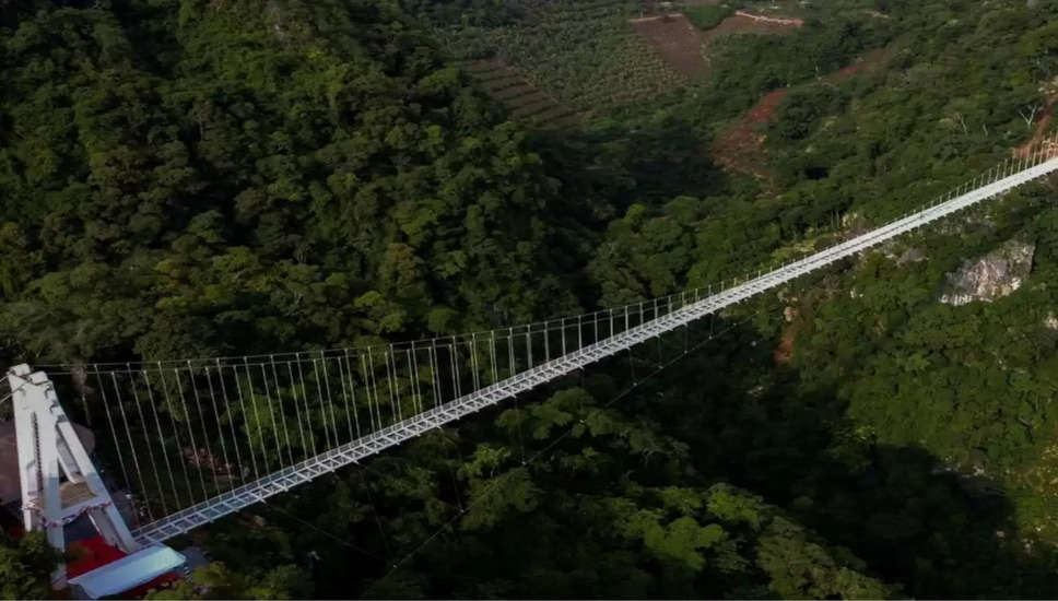 इन देशों में है कांच का पुल, शिल्प कला का है नायाब नमूना, आप भी रह जाएंगे हैरान कुछ दिन पहले ही वियतनाम में दुनिया के सबसे लंबे शीशे के पुल को जनता के लिए खोल दिया गया है। यहां रोजाना हजारों की संख्या में पर्यटक आते हैं और रोमांच का अनुभव करते हैं। आइए आज हम आपको दुनिया के कुछ ऐसे कांच के पुलों के बारे में बताते हैं.. जो अदभुत शिल्पकला की मिसाल हैं। आप भी इन्हें देखकर दंग रह जाएंगे।  दुनिया के सबसे खूबसूरत देशों में से एक वियतनाम में बना है ये ब्रिज; यह कांच के फर्श वाला दुनिया का सबसे लंबा पुल है। वहां लोग इसे बाख लौंग कहते हैं जिसका मतलब सफेद अजगर होता है। यह लगभग 150 मीटर की ऊंचाई पर है और एक वर्षावन से होकर गुजरता है। पुल के जरिए लोगों को 650 मीटर लंबी बेहद रोमांचक सैर करने का मौका मिलता है। टेम्पर्ड ग्लास से बना यह पुल एक बार में 450 लोगों का भार झेल सकता है। लोग पुल पर जा सकते हैं और नीचे घाटी की सुंदरता देख सकते हैं।  यह ब्रिज अमेरिका के एरिजोना में ग्रैंड कैन्यन वैली के ऊपर बना है। इसकी ऊंचाई करीब 290 मीटर है। घोड़े की नाल के आकार का कांच का पुल किनारे पर 70 फीट और हवा में 4,000 फीट तक फैला है। स्काईवॉक पर चलना रोमांचक है, लेकिन निश्चिंत रहें, इसकी भार वहन क्षमता 71 मिलियन पाउंड है, या 70 पूरी तरह से लोड किए गए 747 हवाई जहाजों के बराबर है।   'द हाओहान किआओ' को 'द ब्रिज ऑफ ब्रेव मेन' के नाम से भी जाना जाता है। यह चीन के हुनान प्रांत में एक खाई के ऊपर 180 मीटर की गहराई के साथ बनाया गया है जो समान रूप से लुभावनी है, लेकिन इस पुल को पार करने के लिए इसकी ऊंचाई के कारण 'साहस' की आवश्यकता नहीं है, लेकिन उनमें से एक और यह आवश्यक है। विशेषज्ञता के कारण। दरअसल, 300 मीटर लंबे इस ब्रिज का फर्श पूरी तरह कांच का बना है। पहले वाला मूल रूप से लकड़ी का बना था, लेकिन बाद में पर्यटकों को एक नया रोमांच देने के लिए इसके फर्श को कांच से बदल दिया गया।   चीन में बना यह ब्रिज 100 मीटर लंबा और पांच फीट चौड़ा है। 1500 मीटर की ऊंचाई पर 'तियानमेन माउंटेन' पर मौत का पुल बना हुआ है। पुल को 2016 में जनता के लिए खोल दिया गया था। तभी से इसे दुनिया की सबसे डरावनी जगहों में शुमार किया जाता है। यहां आने वाले पर्यटकों की जरा सी चूक भी उनकी जान ले सकती है।