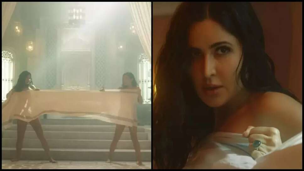 Tiger 3: टॉवल सीन को लेकर Salman Khan ने पूछा Katrina Kaif से सवाल, एक्ट्रेस ने दिया मजेदार जवाब