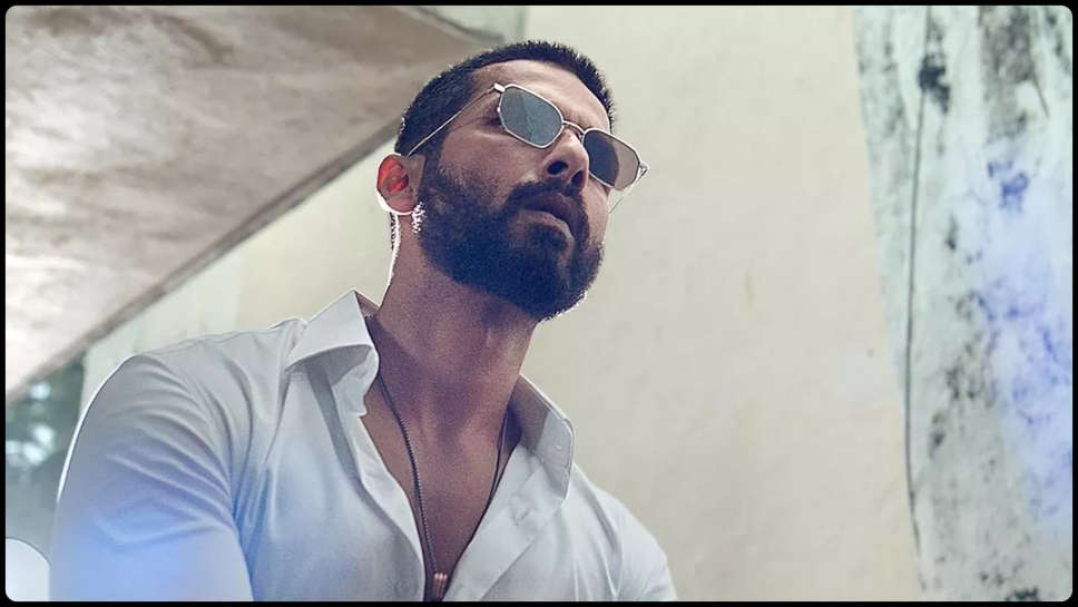 Deva में इस बॉलीवुड एक्टर की हुई एंट्री, Shahid Kapoor को टक्कर देने के लिए ले रहे ये कठिन ट्रेनिंग