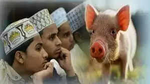 हम सभी ऐसे लोगों से घिरे हुए हैं जिनमें से कई लोग नॉन-वेज खाना पसंद करते हैं तो कुछ पूरी तरह से शाकाहारी। इसी तरह देश के अलग-अलग हिस्सों के लोगों का खान-पान अलग-अलग होता है। कोई इडली-सांभर खाता है तो कोई चावल-दाल का शौकीन होता है। कुछ लोग नाश्ते में बड़ा पाव खाते हैं तो कुछ पोहा खाना पसंद करते हैं. कुछ दोस्त पूरी-सब्जी-पराठा लेते हैं तो कुछ दोस्त डोसा खाते हैं. इसका मतलब है कि हर कोई अपनी स्थानीय संस्कृति के अनुसार खाता-पीता है।  उसका मूल स्वभाव वहीं है। लेकिन, आधुनिक समय में धर्म ने इन स्थानीय संस्कृतियों को प्रभावित किया है। वर्तमान में लोगों को उनके धर्म के अनुसार खाने-पीने के लिए कहा जाता है। यह सभी धर्मों पर लागू होता है। लेकिन, आज हम एक ऐसे देश की बात कर रहे हैं, जिसकी बहुसंख्यक आबादी धार्मिक रूप से इस्लामिक है, लेकिन उनका खान-पान पूरी तरह से गैर-इस्लामिक है। उस देश के ज्यादातर लोग इस्लाम में हराम घोषित हर चीज करते और खाते हैं। ये लोग सूअर का मांस खाते हैं और शराब भी बड़े चाव से पीते हैं। यहां शादी से पहले प्रेमी-प्रेमिका के शारीरिक संबंध को भी स्वीकार किया जाता है।  दरअसल, हम जिस देश की बात कर रहे हैं वह पूर्वी यूरोप के मध्य में स्थित है। यहां की आबादी 28 लाख से ज्यादा है। इनमें से लगभग 60 प्रतिशत 17 लाख से अधिक मुसलमान और 10 लाख से अधिक (लगभग 38 प्रतिशत) ईसाई हैं। यहां की साक्षरता दर 99 प्रतिशत तक है। यहां प्रति व्यक्ति आय 15,490 डॉलर यानी करीब 12 लाख रुपये सालाना है। यह बहुत ही खूबसूरत देश है। लेकिन, यहां की सबसे बड़ी अच्छी बात यह है कि इस देश के लोग अलग-अलग धर्मों को मानते हैं लेकिन उन पर स्थानीय पारंपरिक संस्कृति हावी है।  हम जिस देश की बात कर रहे हैं उसका नाम अल्बानिया है। आधिकारिक तौर पर इसे विकासशील देश बताया जा रहा है, लेकिन यह भारत और पाकिस्तान समेत सभी दक्षिण पूर्व एशियाई देशों से कहीं आगे है। यहां के लोग शिक्षित और आधुनिक हैं। ये लोग धर्म को अपनी पसंद पर हावी नहीं होने देते। जैसा कि आप इस बात से अंदाजा लगा सकते हैं कि अल्बानिया के मुस्लिम लोग सूअर का मांस खूब खाते हैं। वास्तव में, पारंपरिक अल्बानियाई भोजन में बहुत सारे सूअर का मांस होता है। ऐसे में इस्लाम में सबसे बड़ी हराम चीजों की लिस्ट में शामिल सूअर का मांस यहां के मुसलमान खाते हैं. आपको अल्बानियाई पारंपरिक भोजन और फास्ट फूड की दुकानों में हमेशा सूअर का मांस मिलेगा।   शराब के दीवाने नमाज मत पढ़ो अल्बानियाई मुसलमान भी जमकर शराब पीते हैं। वास्तव में, पूरे यूरोप में अत्यधिक ठंड ने पारंपरिक रूप से लोगों को अधिक शराब और मांस का सेवन करने के लिए प्रेरित किया है। यही बात अल्बानिया पर भी लागू होती है। यहां के अधिकांश लोग धार्मिक रूप से इस्लामी हैं, लेकिन उनकी संस्कृति इस्लाम के जन्मस्थान अरब से बिल्कुल अलग है। Quora की वेबसाइट पर कई यूजर्स ने अपनी राय दी है. एक यूजर ने लिखा कि अगर आप अल्बानियाई मुसलमानों के चेहरे खुजलाएंगे तो आपको पता चल जाएगा कि अंदर एक ईसाई छिपा हुआ है। यानी यहां की संस्कृति और समाज पर ईसाई धर्म का प्रभाव ज्यादा है। ऐसे में बहुसंख्यक आबादी धार्मिक रूप से मुस्लिम होते हुए भी उनकी संस्कृति पर स्थानीय प्रभाव हावी है।  धर्म पर इतनी कमजोर पकड़ अल्बानिया दुनिया में अपनी तरह का पहला देश है जहां धर्म की पकड़ को कमजोर करने के लिए शासन स्तर पर नीतियां अपनाई गईं। 20वीं सदी के दौरान सरकार की जो भी व्यवस्था बनी, सभी ने जीवन में धर्म के महत्व को कम करने पर जोर दिया। जिससे समाज के हर वर्ग में धार्मिक रीति-रिवाज कमजोर हो गए। 1991 में अल्बानिया में साम्यवादी शासन का अंत हुआ। तब से सभी धर्मों खासकर इस्लाम को विस्तार का मौका मिला।