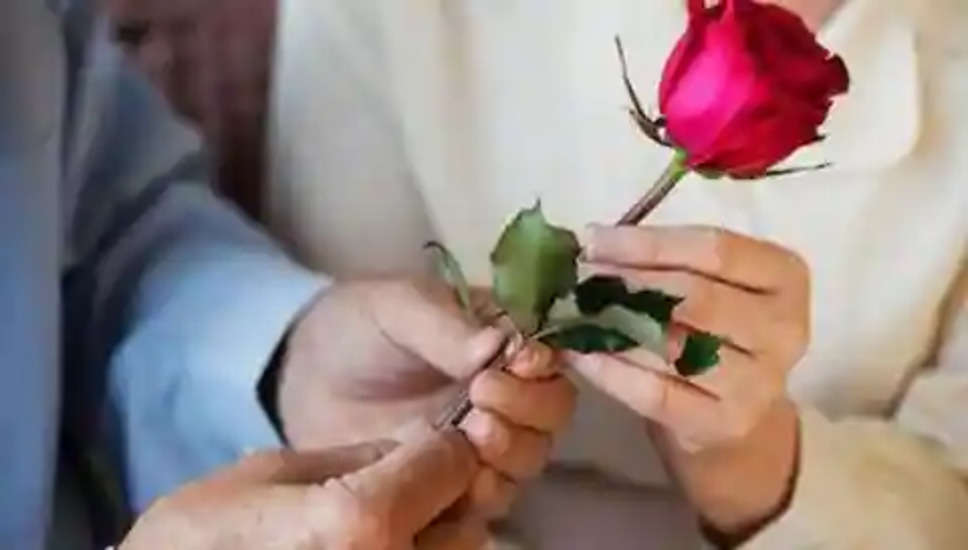 Rose Day 2023: क्या आप भी रोज डे पर अपने प्यार को गिफ्ट करने जा रहे हैं लाल गुलाब? इसके पीछे की कहानी है मजेदार Valentine Day Special: वैलेंटाइन वीक की शुरुआत हर साल 7 फरवरी को रोज डे से होती है। इस दिन प्रेमी जोड़े एक दूसरे को लाल गुलाब देकर अपने प्यार का इजहार करते हैं। लेकिन क्या आपने कभी सोचा है कि इस खास मौके पर सिर्फ लाल गुलाब ही क्यों दिया जाता है? आइए जानते हैं इसके बारे में।  लाल गुलाब को प्यार का प्रतीक माना जाता है। यही वजह है कि वैलेंटाइन डे या रोज डे पर लोग अपने क्रश या लवर को लाल गुलाब देते हैं। ऐसे में अगर आप भी किसी से प्यार करते हैं तो वैलेंटाइन वीक के पहले दिन रोज डे पर उन्हें लाल गुलाब दें। छवि: कैनवा  अब मन में सवाल उठता है कि वैलेंटाइन डे या रोज डे पर लाल गुलाब देने की परंपरा कहां से आई? दरअसल, सिर्फ अभी नहीं बल्कि सदियों से फूल देना प्यार, शादी और रोमांस का प्रतीक रहा है। विक्टोरियन युग के दौरान, लोग गुप्त संदेश भेजने के लिए फूलों का इस्तेमाल करते थे और यह तरीका प्रेमियों के बीच भी बहुत लोकप्रिय था।   विक्टोरियन युग में फूलों के साथ संदेश भेजने की परंपरा को फ्लोरोग्राफी के नाम से जाना जाता था। आमतौर पर दो प्रेमी गुप्त संदेश देने के लिए इस तरीके का इस्तेमाल करते थे। यही कारण है कि हर रंग और फूल के पीछे एक अलग अर्थ होता है। उस जमाने में भी लाल गुलाब प्यार, जुनून और रोमांस को दर्शाता था।  कई संस्कृतियों में लाल गुलाब जुनून का एक शक्तिशाली प्रतीक है। मिस्र, ग्रीस, रोम जैसे देशों में लाल गुलाब को प्रेम की देवी भी कहा जाता है।   संबंधों में सुधार के लिए आप अपने प्रेमी या पार्टनर को लाल गुलाब दें। जिस व्यक्ति को आप लाल गुलाब देते हैं, उसे बिना कहे ही पता चल जाएगा कि आप उससे प्यार करते हैं।   लाल गुलाब की एक विशेषता यह भी है कि जिसे भी यह गुलाब उपहार में मिलता है उसके चेहरे पर एक खूबसूरत सी मुस्कान आ जाती है और कहीं न कहीं रोमांस जरूर महसूस होता है। इसलिए आप इस रोज डे पर अपने खास को स्पेशल फील कराने के लिए लाल गुलाब जरूर दें। 