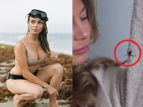 कहा जाता है कि सांप के काटने पर पानी भी नहीं मांगते। क्&zwj;योंकि दुनिया में सांपों की कई ऐसी प्रजातियां हैं, जो पलभर में किसी की भी जान ले सकती हैं। इनमें कोबरा से लेकर रसेल वाइपर और रैटलस्नेक तक शामिल हैं। ये तीनों दुनिया के सबसे जहरीले और खतरनाक माने जाते हैं। लेकिन क्या आप ऐसे किसी छोटे जीव के बारे में जानते हैं, जो इन जहरीले जीवों से भी ज्यादा खतरनाक हैं। आपको जानकर हैरानी होगी, लेकिन ये बिल्कुल सच है। इतना ही नहीं यह छोटा सा जीव इंटरकोर्स के बाद पार्टनर को मारकर खा जाता है। हाल ही में अमेरिका में रहने वाली एनिमल एक्सपर्ट रोजी मूर ने इस जीव को अपने घर में पाला है, जिसे लोग पागल बता रहे हैं।  अमेरिका के फ्लोरिडा में रहने वाली रोजी एक ग्लैम साइंटिस्ट के तौर पर भी जानी जाती हैं, जो एक मॉडल के तौर पर भी जानी जाती हैं। सांप से भी ज्यादा खतरनाक वह छोटा जीव है जिसे रोजी ने पाला है, जिसे ब्लैक विडो के नाम से जाना जाता है, जो काली मकड़ी की एक प्रजाति है। कहा जाता है कि अगर यह मकड़ी किसी आदमी को काट ले तो उसे मौत से कोई नहीं बचा सकता, क्योंकि यह किसी भी जहरीले सांप से 10 से 15 गुना ज्यादा जहरीला होता है। हालाँकि, रोज़ी मूर ऐसा नहीं सोचती हैं। मैं एक काली विधवा मकड़ी प्राप्त करना चाहता था," रोजी कहती है, जो शार्क और मगरमच्छ जैसे जानवरों के बीच वैज्ञानिक के रूप में काम करती है। जैसे, जब मैं छुट्टी पर था, तो यह मकड़ी फ्लोरिडा में मुझसे चिपक गई और मैं इसे घर ले आया।   जब रोजी ने ब्लैक विडो के बारे में अपने प्रशंसकों से चर्चा की तो लोग हैरान रह गए। हालांकि, रोजी ने अपने प्रशंसकों को ऐसे जीवों से दूर रहने की सलाह देते हुए कहा कि उनसे डरने की कोई जरूरत नहीं है। दरअसल यह मकड़ी इंसानों को तभी काटती है जब काली विधवा को खतरा महसूस होता है या कोई उसके बच्चों को नुकसान पहुंचाने की सोच रहा होता है। रोजी ने इस काली विधवा मकड़ी का नाम ओफेलिया रखा। रोजी कहती हैं, 'काली विधवाओं को लेकर लोगों में काफी भ्रांतियां हैं। लोगों का मानना ​​है कि इसके काटने से मौत निश्चित है, लेकिन असल में यह मकड़ी किसी को भी जल्दी नहीं काटती है। हालांकि, अगर खतरा हो तो यह बुजुर्ग लोगों और बच्चों को नुकसान पहुंचा सकता है।   काली विधवा मकड़ी आधा इंच लंबी होती है रोजी ने कहा कि काली विधवाएं ज्यादा से ज्यादा आधा इंच बड़ी हो सकती हैं। ये रैटलस्नेक से 15 गुना अधिक जहरीले होते हैं, लेकिन अपने आकार के कारण ये रैटलस्नेक जितने खतरनाक नहीं होते हैं। रोजी ने कहा कि मैं भाग्यशाली हूं कि मैं एक मॉडल के साथ-साथ एक वैज्ञानिक भी हूं। ऐसे में जब मैं अपने मन की बात कहता हूं तो लोग गंभीरता से सुनते हैं। हालांकि, जो लोग मेरे कपड़े देखते हैं, वे मेरे बारे में नहीं जानते, वे मुझे गंभीरता से नहीं लेते। लेकिन विज्ञान से जुड़े लोग मुझे एक आदर्श के रूप में सम्मान देते हैं।