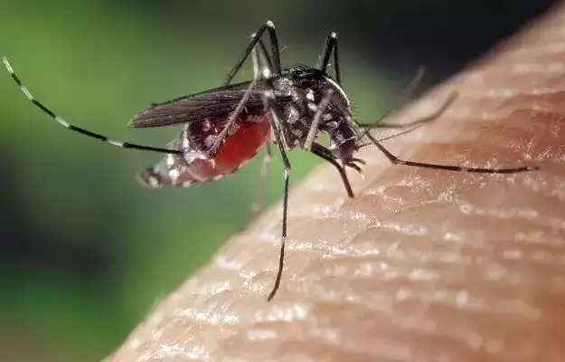 Health Tips-  मलेरिया होने पर कौन सी दवा लेना सुरक्षित है? कभी गलती न करें Lifestyle Desk- उत्तर भारत में इस समय तापमान बढ़ना शुरू हो रहा है और मच्छरों का प्रकोप तेजी से बढ़ रहा है। हाल ही में, कुछ राज्यों में हल्की बारिश हुई है, जिससे मच्छरों के प्रजनन का खतरा और बढ़ गया है। मच्छर के काटने से डेंगू, मलेरिया, चिकनगुनिया समेत कई बीमारियां हो सकती हैं। इनमें इस समय मलेरिया का प्रकोप अधिक होता है। मलेरिया के कारण कई लोग बीमार पड़ रहे हैं। कई लोग ऐसे होते हैं जो बिना डॉक्टर की सलाह के घर पर ही बुखार की दवा लेना शुरू कर देते हैं, लेकिन ऐसा नहीं करना चाहिए। स्व-दवा घातक साबित हो सकती है। आज हम डॉक्टर से जानेंगे कि मलेरिया होने पर कौन सी दवाएं लेना सुरक्षित है और इसका सही इलाज क्या है।     मलेरिया एक परजीवी संक्रमण है। यह मादा एनोफिलीज मच्छर के काटने से होता है। मच्छर के काटने के बाद, परजीवी लीवर तक पहुँच जाता है और जब यह रक्तप्रवाह में पहुँचता है, तो लोगों को बुखार हो जाता है। मलेरिया से संक्रमित व्यक्ति को ठंड लगने के साथ बुखार आता है। गंभीर सिरदर्द, शरीर में दर्द, सांस लेने में कठिनाई, उल्टी, खांसी, दस्त और हृदय गति में वृद्धि मलेरिया के सामान्य लक्षण हैं। मलेरिया बुजुर्गों, बच्चों और गंभीर बीमारी से पीड़ित लोगों के लिए घातक हो सकता है। ऐसे में कोई लापरवाही नहीं बरतनी चाहिए।  मलेरिया में कौन सी दवा लेना सुरक्षित है?    मलेरिया के कारण बुखार होने पर पैरासिटामोल की गोलियां लेनी चाहिए। मलेरिया के मरीजों को एंटीबायोटिक्स नहीं लेनी चाहिए। मलेरिया के लक्षण होने पर डॉक्टर को दिखाकर खून की जांच करानी चाहिए। यदि परीक्षण मलेरिया के लिए सकारात्मक है, तो डॉक्टर आपको मलेरिया-रोधी दवा देता है। आजकल कई प्रकार की मलेरिया-रोधी दवाएं उपलब्ध हैं, जो रोगियों की स्थिति के आधार पर दी जाती हैं। मलेरिया-रोधी दवाओं को अपने आप नहीं लेना चाहिए। ऐसा करने से आपको गंभीर साइड इफेक्ट का सामना करना पड़ सकता है।  मलेरिया से कैसे बचें?   डॉक्टर के मुताबिक संक्रमित मच्छरों के काटने से लोगों में मलेरिया फैलता है। इसके अलावा संक्रमित व्यक्ति की सीरिंज और मां से बच्चे को खून चढ़ाने से भी गर्भावस्था के दौरान हो सकता है। मलेरिया के संक्रमण के कारण रोगी के प्लेटलेट काउंट में कमी आ सकती है। इसके अलावा हीमोग्लोबिन और शुगर लेवल कम पाया जाता है। मलेरिया से बचने के लिए अपने घर में पानी जमा न होने दें और मच्छरों से बचने की हर संभव कोशिश करें। बुजुर्गों और बच्चों का विशेष ध्यान रखें और कोई परेशानी होने पर डॉक्टर से सलाह लें।